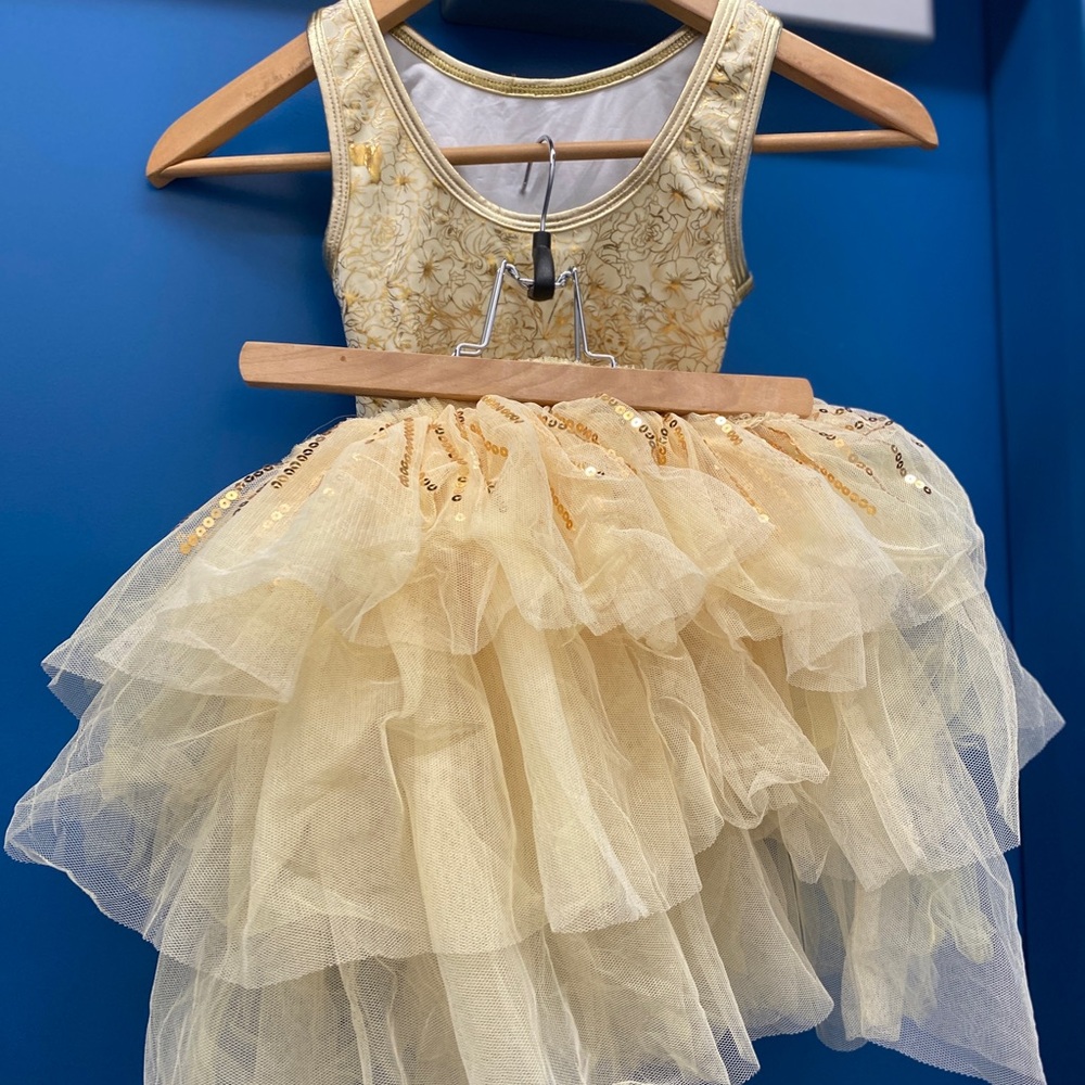 Gold Sequin Kids Costume Dress